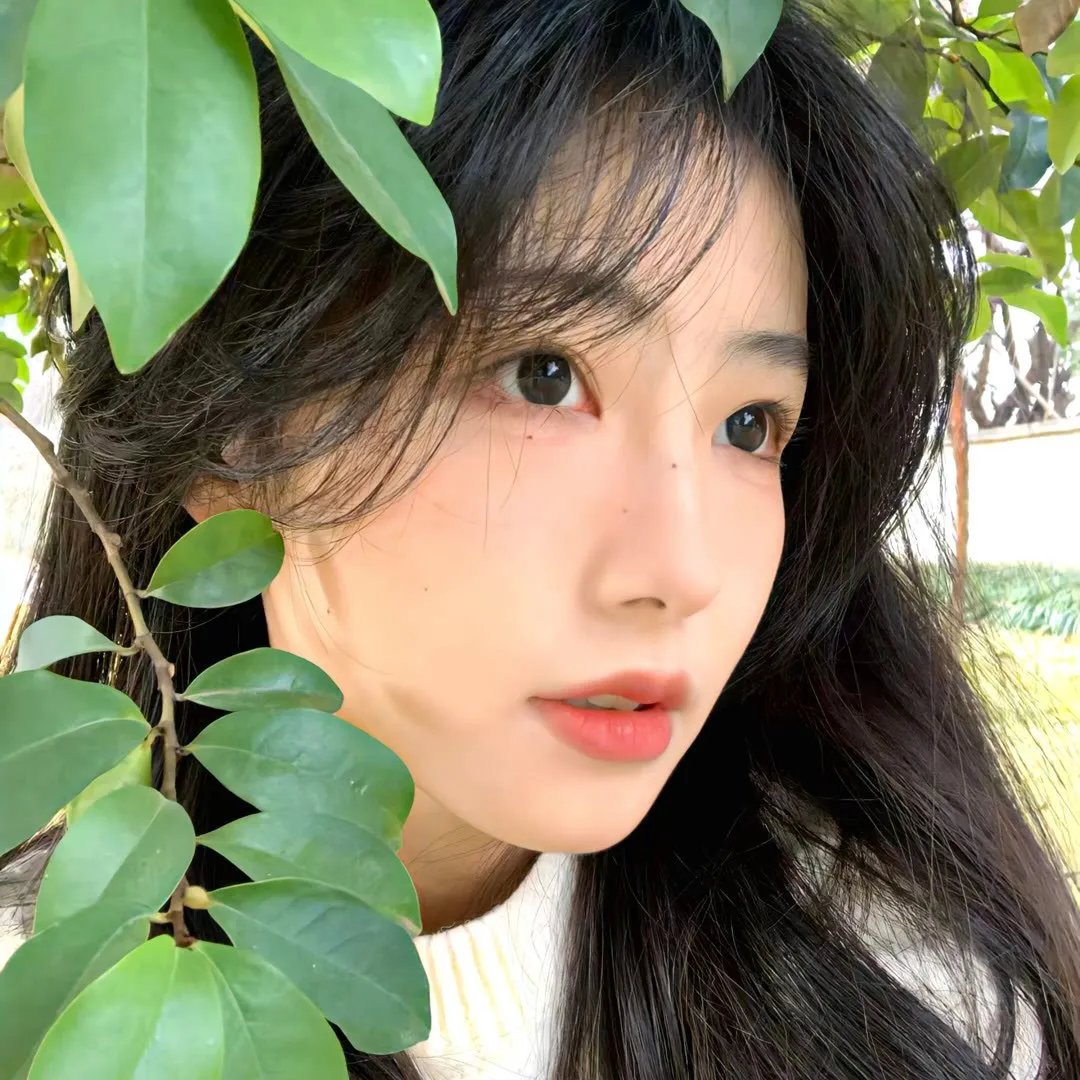 日常系的异能战斗